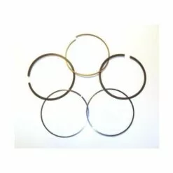 797011 - Jeu De Segments Pour Moteur BRIGGS Et STRATTON