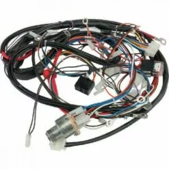 GGP/CASTELGARDEN Faisceau électrique Complet Autoporté GGP