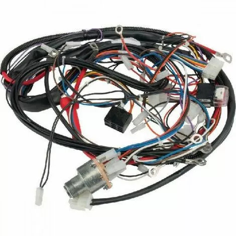 GGP/CASTELGARDEN Faisceau électrique Complet Autoporté GGP 3 GGP/CASTELGARDEN Faisceau électrique Complet Autoporté GGP