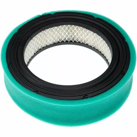 Vhbw Set De Filtres (filtre à Air En Papier, Filtre Mousse) Compatible Avec Briggs & Stratton Vanguard 542477-0116-E1 Moteur Pour Tracteur Tondeuse 5 Vhbw Set De Filtres (filtre à Air En Papier, Filtre Mousse) Compatible Avec Briggs & Stratton Vanguard 542477-0116-E1 Moteur Pour Tracteur Tondeuse – Image 3