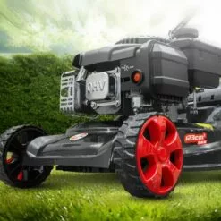 ELEM GARDEN TECHNIC Tondeuse Thermique Poussée 123CC Elem Garden 9 ELEM GARDEN TECHNIC Tondeuse Thermique Poussée 123CC Elem Garden -Tondeuse Et Accessoires Boutique 29317476 4