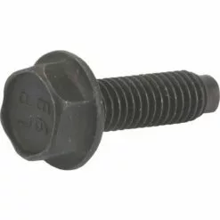 Vis BRIGGS ET STRATTON 794451