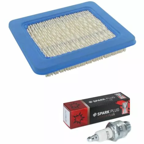 CYCLINGCOLORS Filtre A Air Compatible Avec Briggs And Stratton 491588, 31749, 399959, 491588S + Bougie Champion RJ19LM / T10 Tondeuse Tracteur Motoculteur 3 CYCLINGCOLORS Filtre A Air Compatible Avec Briggs And Stratton 491588, 31749, 399959, 491588S + Bougie Champion RJ19LM / T10 Tondeuse Tracteur Motoculteur