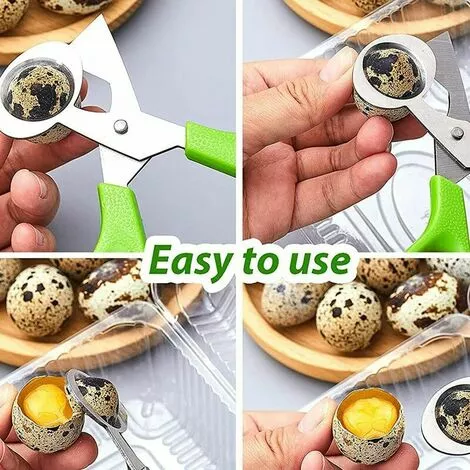 THSINDE Lot De 4 Ciseaux à œufs De Caille, Ciseaux à œufs De Caille En Acier Inoxydable, Petits Ciseaux à œufs De Caille 5 THSINDE Lot De 4 Ciseaux à œufs De Caille, Ciseaux à œufs De Caille En Acier Inoxydable, Petits Ciseaux à œufs De Caille – Image 3