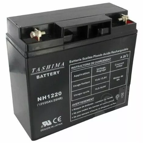 GGP/CASTELGARDEN Batterie Tondeuse Autoportée 12V - 20Ah - NH1220 3 GGP/CASTELGARDEN Batterie Tondeuse Autoportée 12V - 20Ah - NH1220