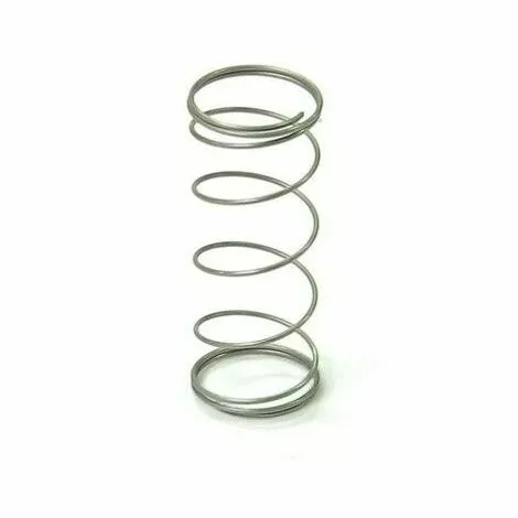 BRIGGS ET STRATTON Ressort Membrane Moteur Briggs Stratton 3 BRIGGS ET STRATTON Ressort Membrane Moteur Briggs Stratton